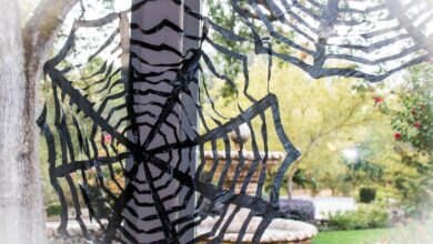 spider-web-decoration. This is very important and creative of the people by spider web decoration and very interested